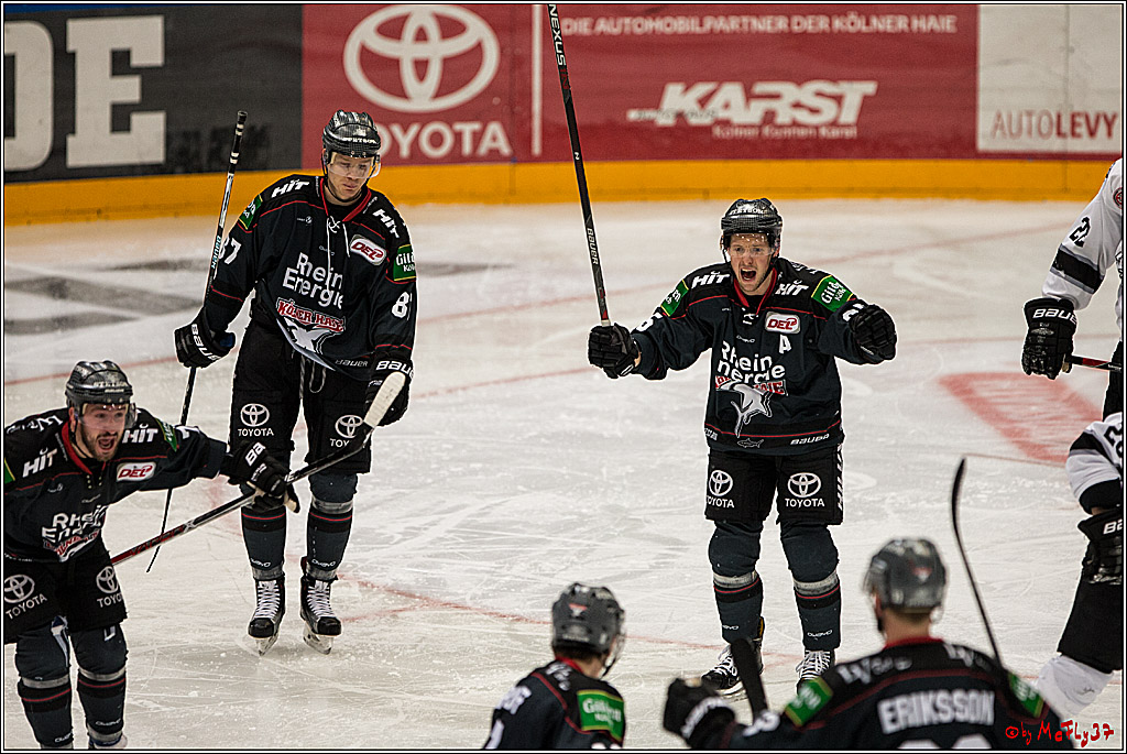 DEL, Koelner Haie - Nuernberg Ice Tiger, 24.01.2017